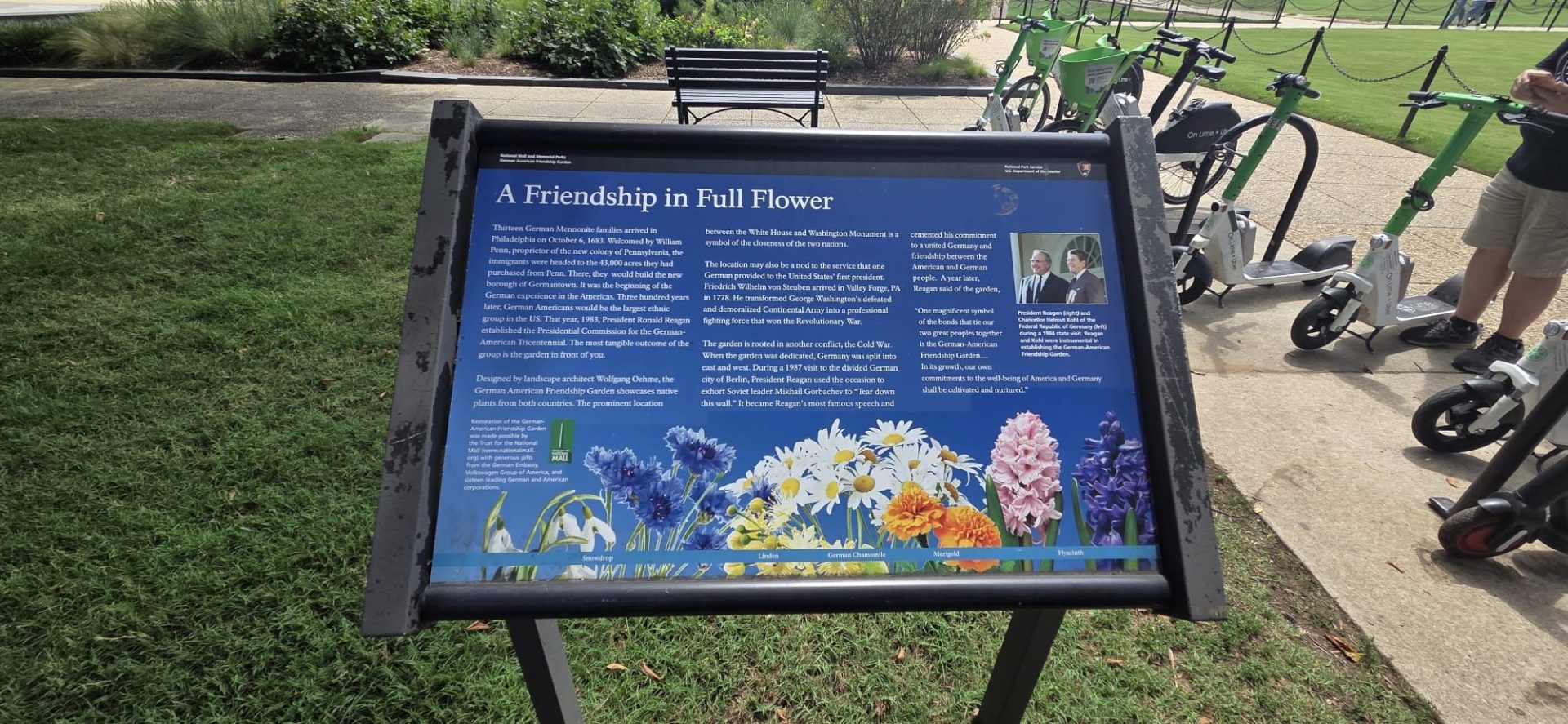 A Friendship in Full Flowers