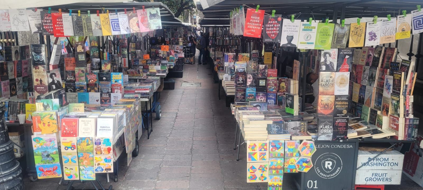 Büchermarkt in Mexico City
