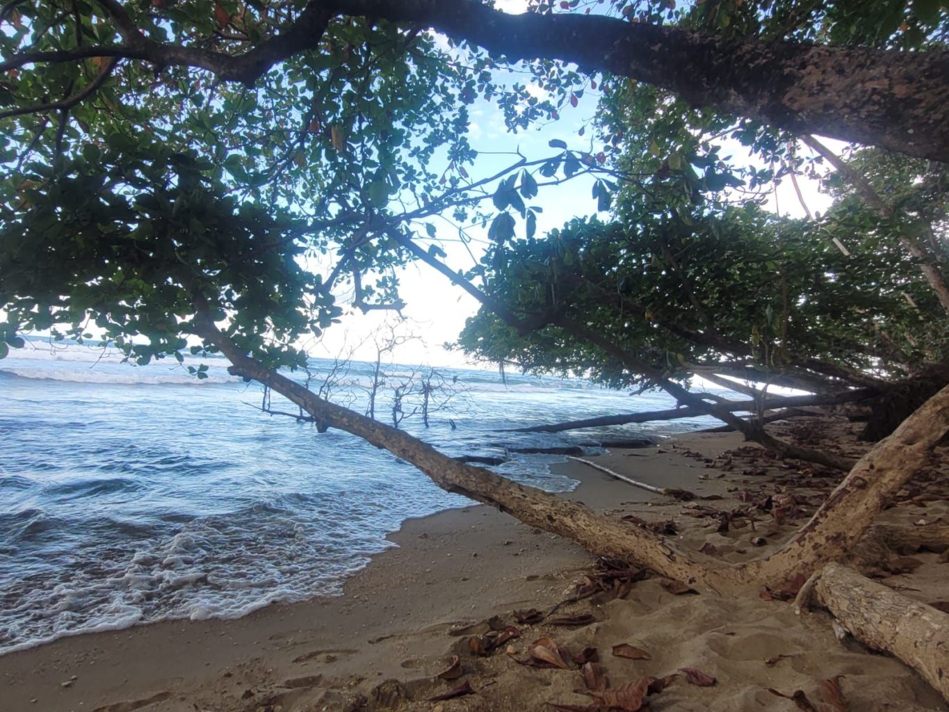 Atlantik in Costa Rica 2